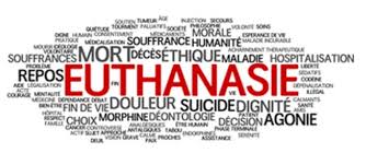 Twintig jaar euthanasiewet, twintig jaar discussie: twintig jaar &#039;goede dood